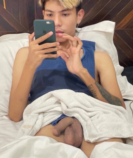 Soft uncut Asian cock